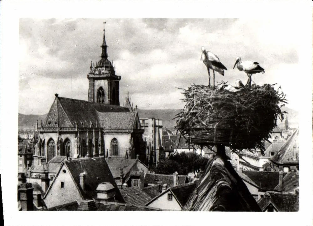 Colmar - Schwanennest mit Blick auf die Kathedrale - Vorderseite