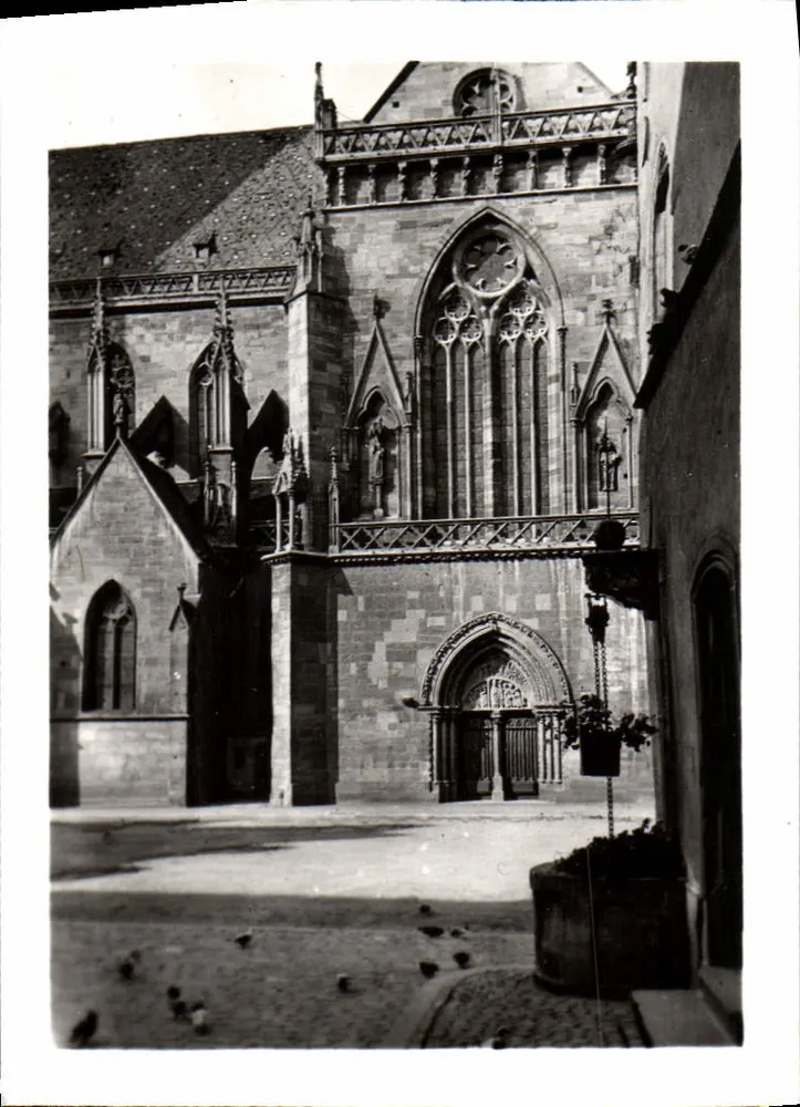 Colmar - Velho Poço e transepto da Catedral - Frente