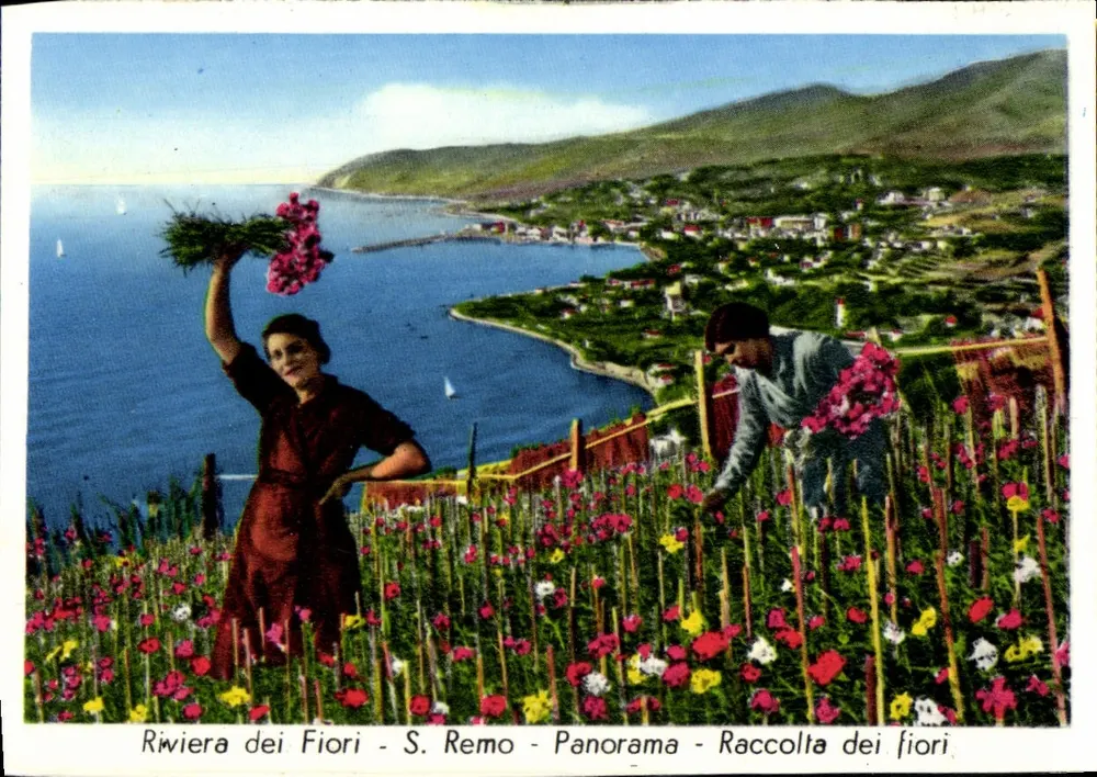 Riviera dei Fiori - S. Remo - Panorama - Blumen-Sammlung - Vorderseite