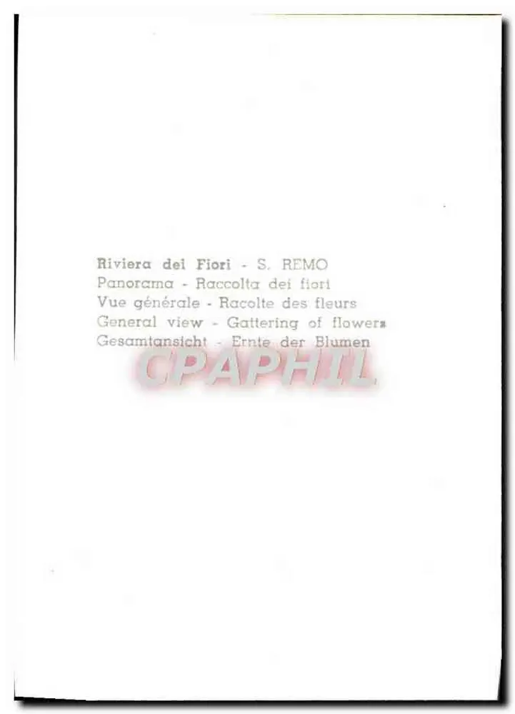 Riviera dei Fiori - S. Remo - Panorama - Blumen-Sammlung - Rückseite