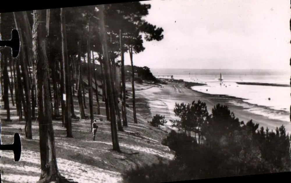 Arcachon - Côte d'Argent - Park der Abatilles, die Küste in Richtung Moulleau — n°78 - Vorderseite