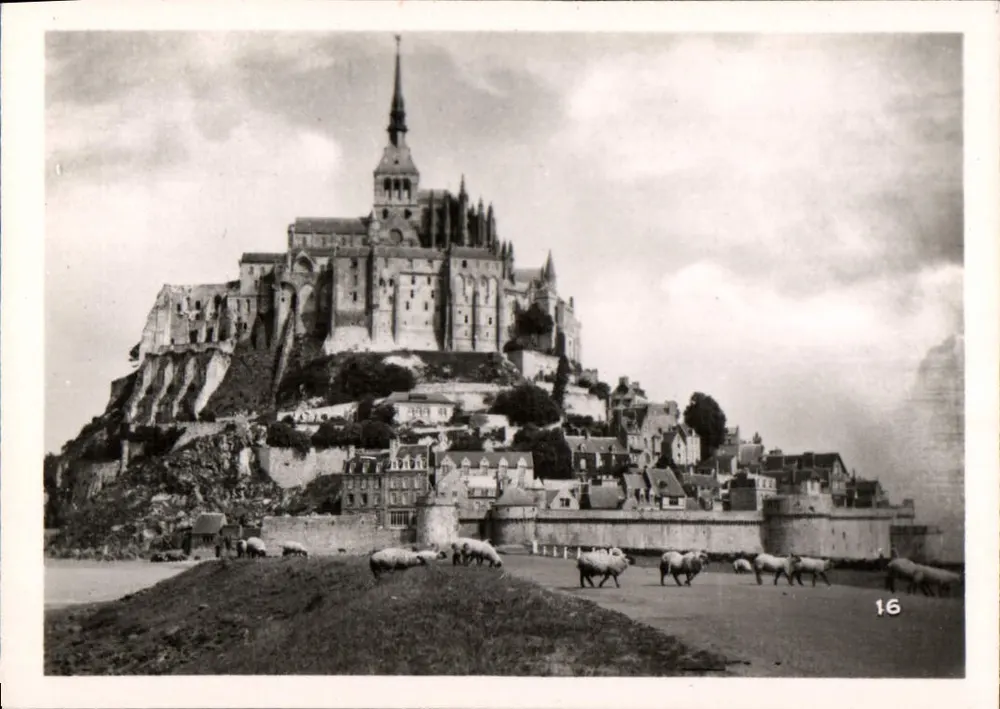 Monte Saint-Michel — vista panorâmica com ovelhas — série 16 - Frente