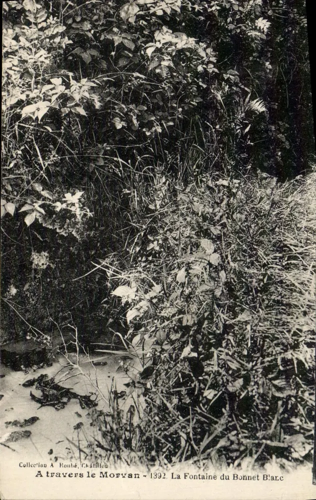 La Fontaine du Bonnet Blanc — Morvan — Collezione A. Ronhé, Clatillon - Recto