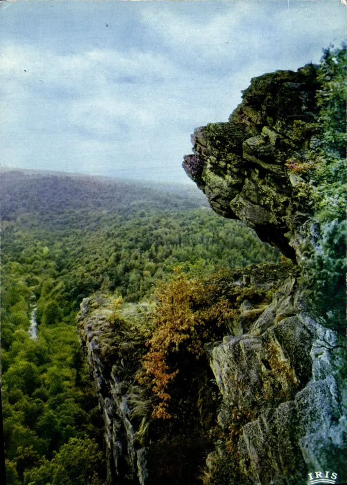 Vue depuis la roche d'Oëtre — panorama sur la vallée — éditeur IRIS - Frente