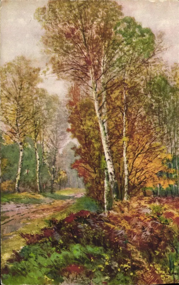Forêt d'ormes en automne — paysage forestier avec sentier — éditeur H. Hen (signé en bas à droite) - Frente