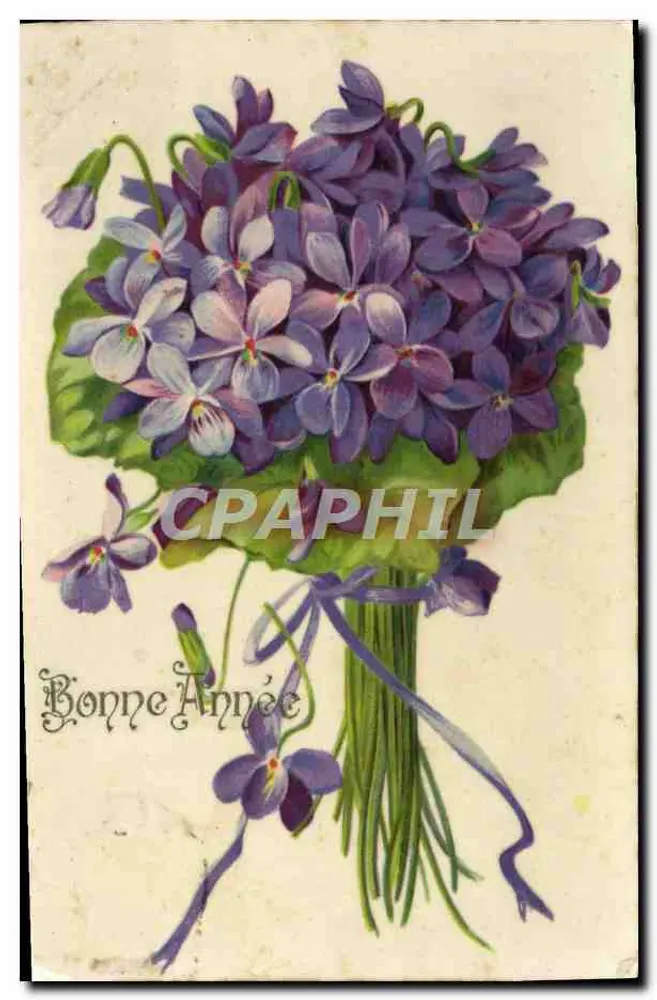 Büschel von Violett — Frohe Neujahr — G.B. - Vorderseite