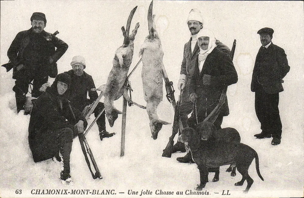Chamonix-Mont-Blanc — Eine schöne Schafschur — LL - Vorderseite