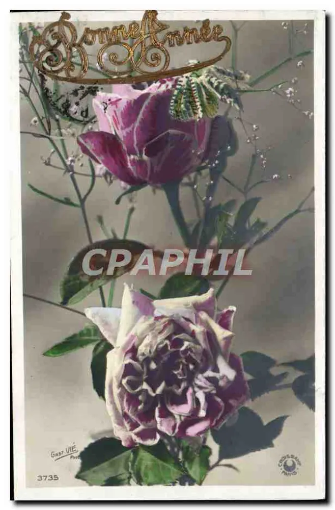 Duas rosas — 'Bom Ano' — Gner Vie, n° 3735 - Frente