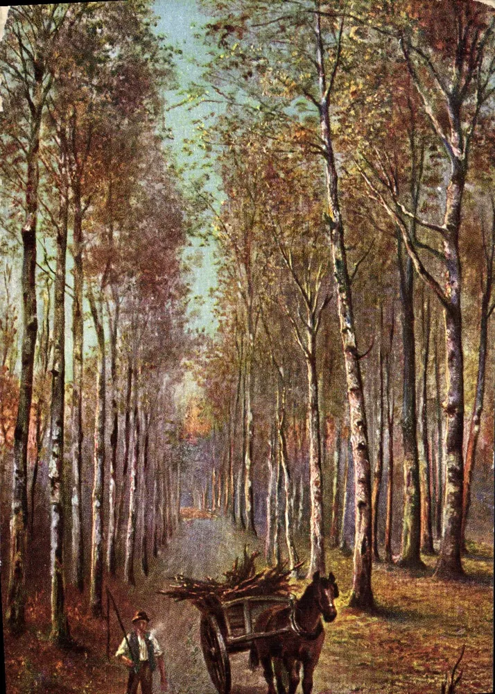 Herbstwald — Weg mit Bäumen — Landschaften Tuck & Fils Ltd, Paris, Serie 745 - Vorderseite