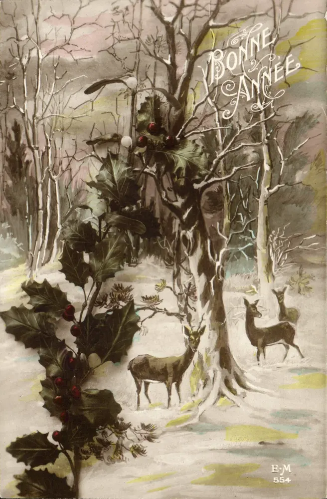 Forêt hivernale avec cerfs — Bonne Année — E.M. 554 - Recto