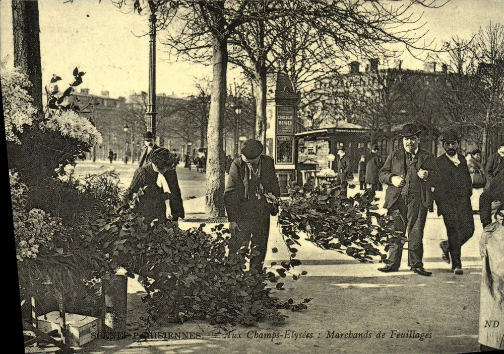 Aux Champs-Élysées : Marchands de Feuillages — Scènes Parisiennes, éditeur ND - Recto