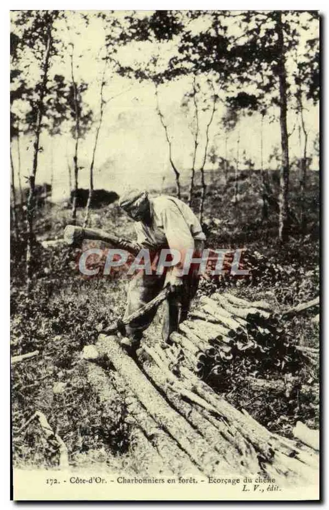 Côte-d'Or — Holzkohlebrenner im Wald — Rindenabrieb — L. V., Verlag - Vorderseite