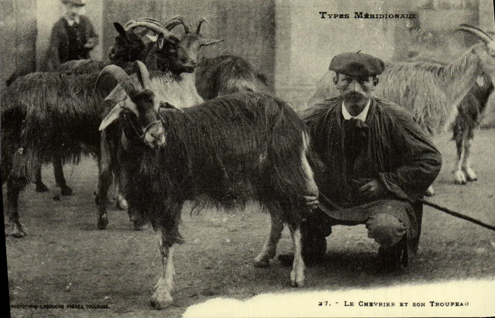 Le Chevrier et son Troupeau — Types Méridionaux — Phototype Labouches Frères Toulouse - Recto