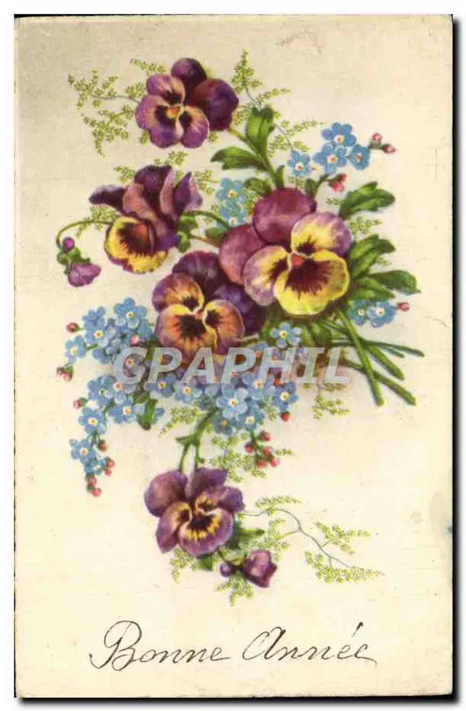 Bouquet de pensées et de pansies — Bonne Année — Carte postale de vœux - Recto