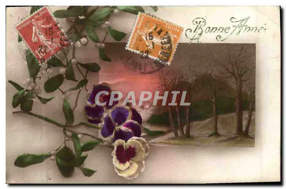 Fleurs et baies de gui — paysage hivernal — éditeur non visible - Anverso