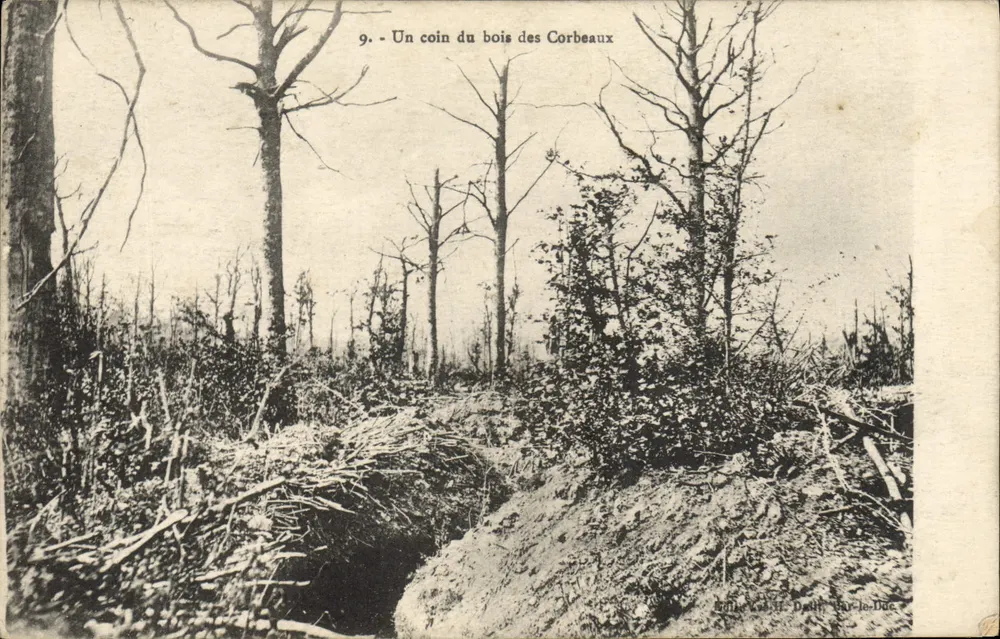 Um canto do bosque dos Corvos — Dath-le-Duc - Frente