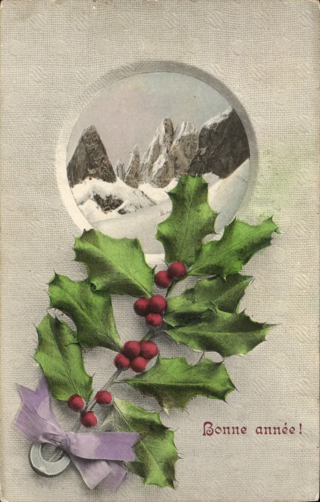 Schneeberg — Efeu-Verzierung und violetter Schleifchen — A.S. Serie 351 - Vorderseite