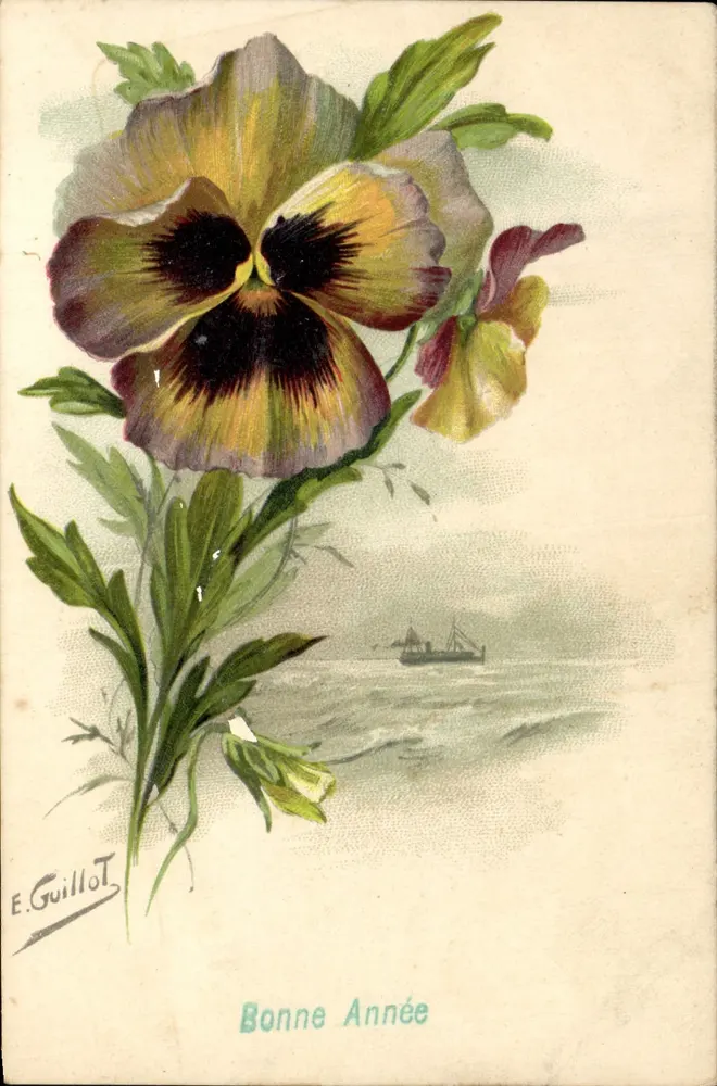 Fisch — Mohnblume — E. Guillot - Vorderseite