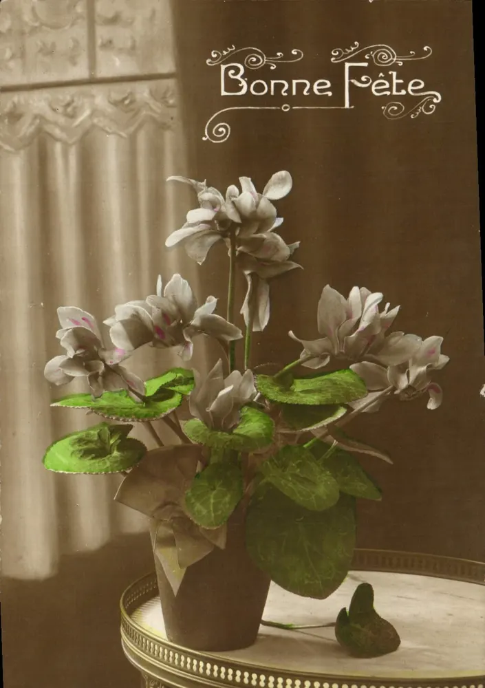 In Töpfchen angepflanzte Cyclamen — Frohe Feier — Unbekannter Verlag, Seriennummer nicht sichtbar - Vorderseite