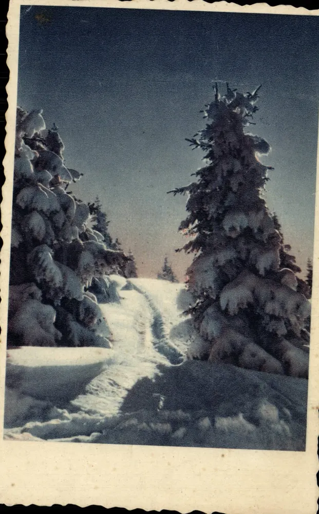 Winterlandschaft mit Schnee — Weg zwischen Tannen — Nr. 5.705 - Vorderseite