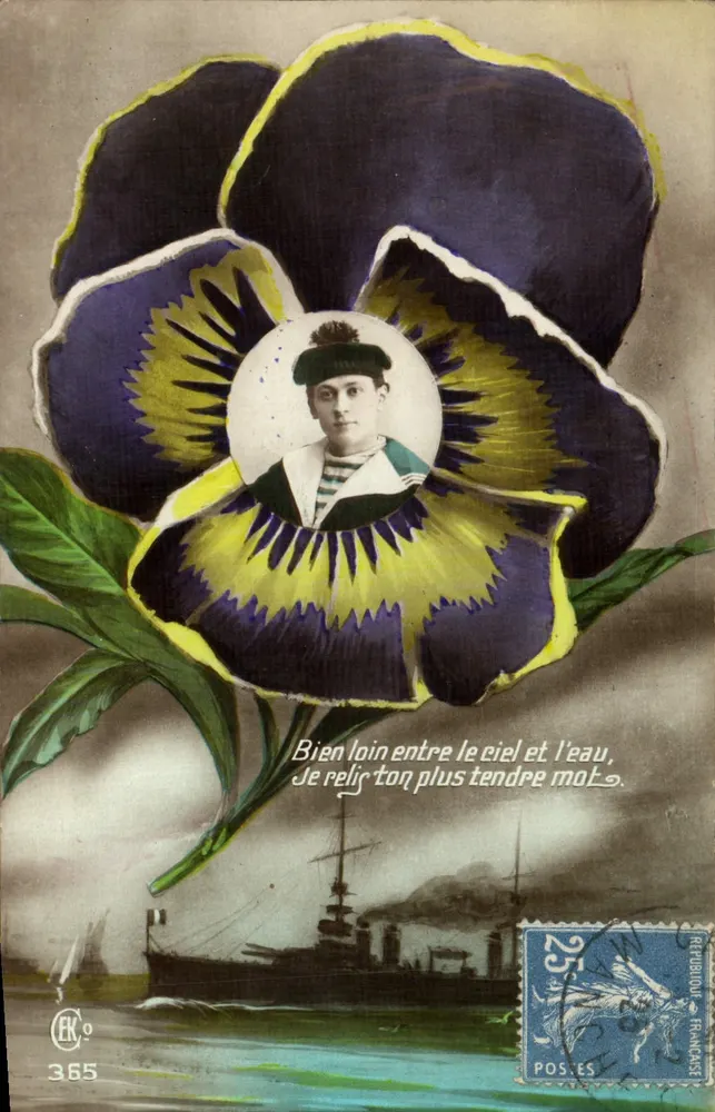 Marinheiro em uma flor de pensamento — Editor HC° n°365 - Frente