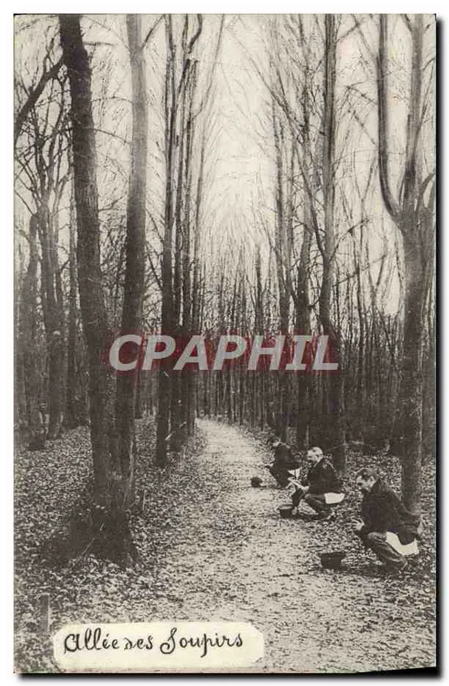 Avenida dos Suspiros — Floresta de Outono — Série Hannodéline N° 1 A - Frente