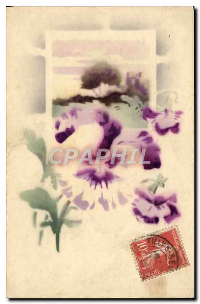 Flores violetas — ilustração — editor desconhecido - Frente