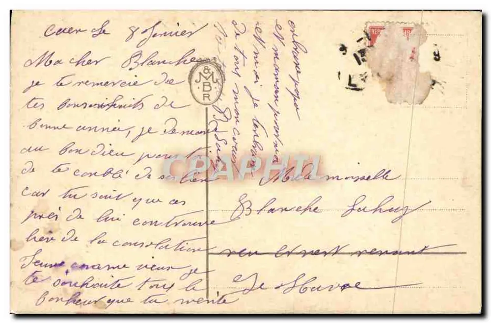 Flores violetas — ilustração — editor desconhecido - Verso