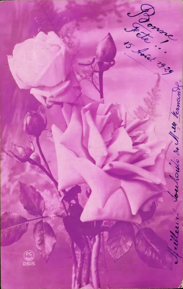 Rosen — monochrome violette Ansichtskarte — PC PARIS 2515 - Vorderseite