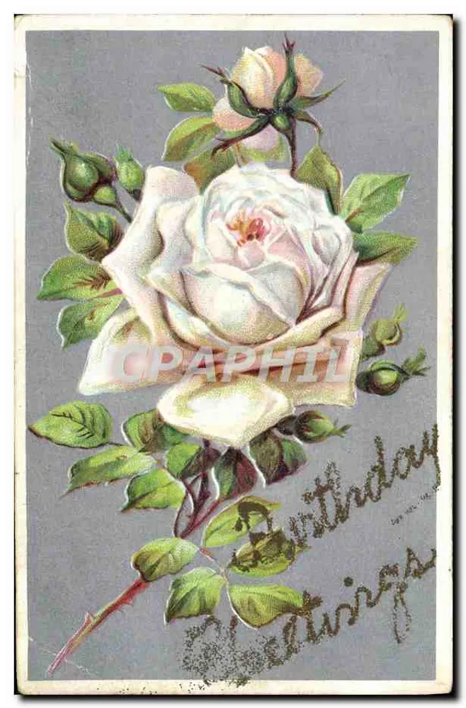 Rosas — cartão de aniversário — editor S. n° 611 S - Frente