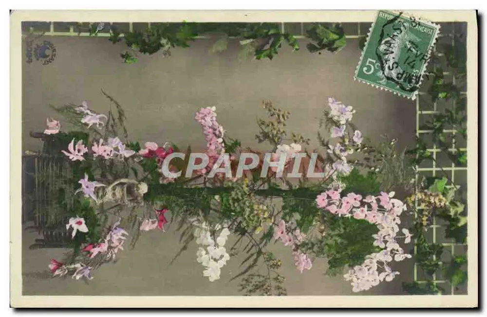 orchidées의 꽃 — 꽃 조합 — Ch. Fontaine, 파리 - 앞면