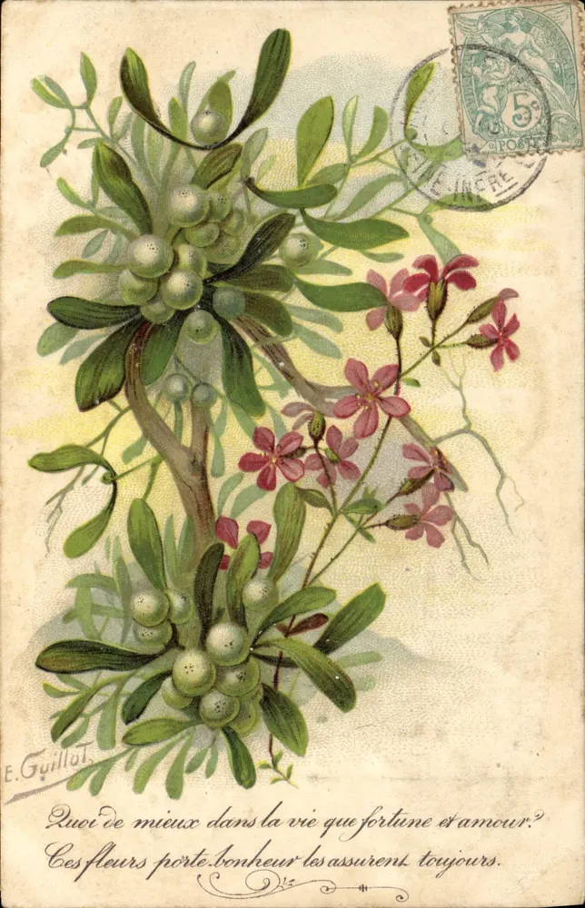 Fleurs et fruits — Éditeur E. Guillot — n° de série non visible - Awers