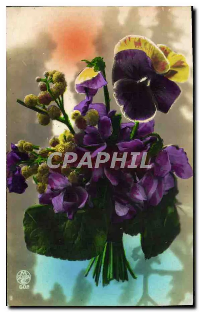 Bukiet kwiatów — Pansy i mimosa — wydawca M. EXTRA nr 602 - Awers