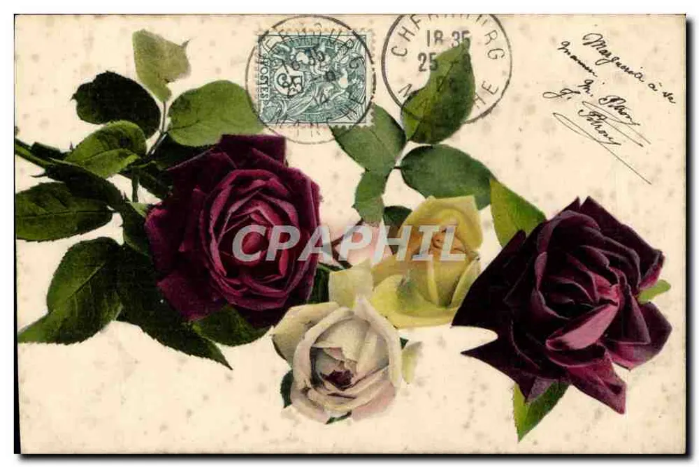 Roses — buquê de rosas vermelhas, amarelas e brancas — editor não identificado, número de série não visível - Frente