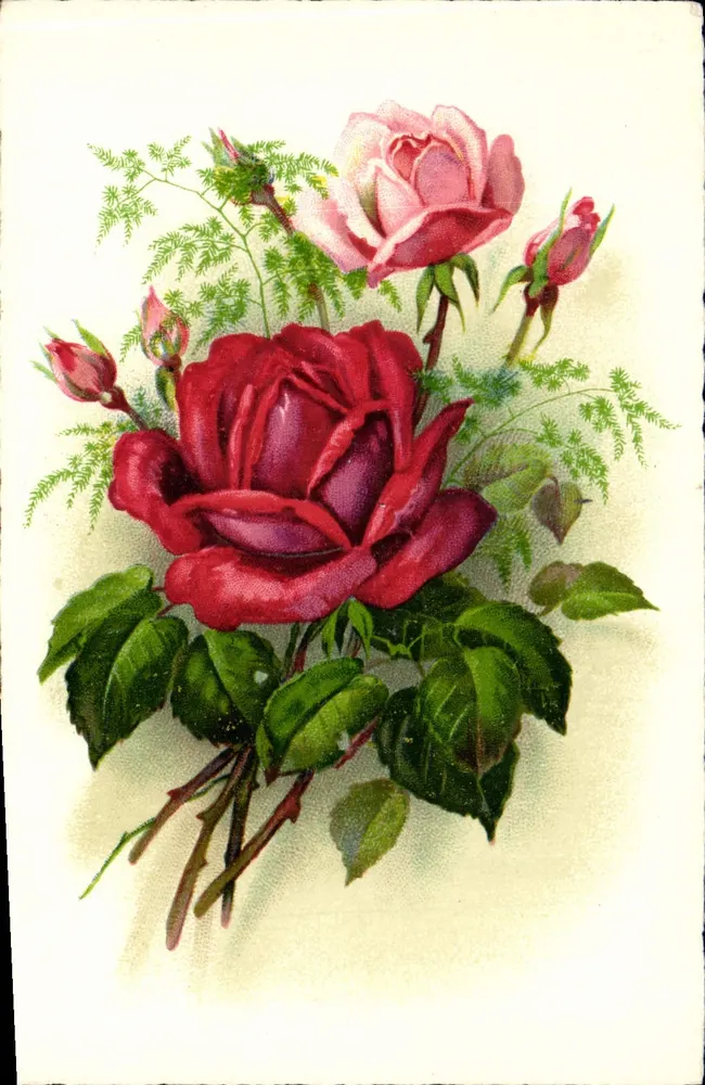 Bouquet van rozen — rood en roze — n°47 - Voorkant