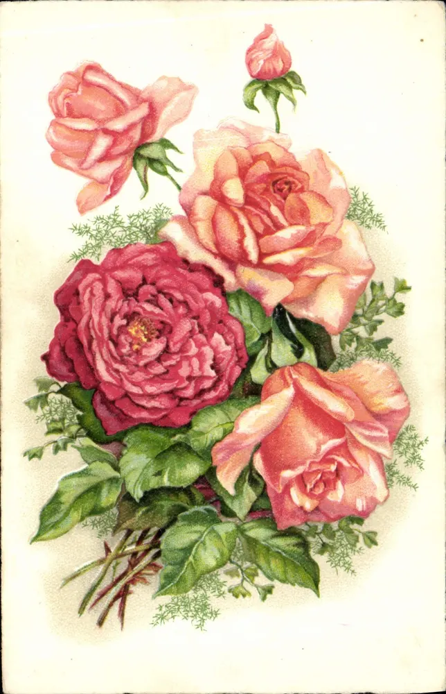 Bouquet de roses — kolorowa ilustracja — M. D. PARIS, seria 4.350 - Awers