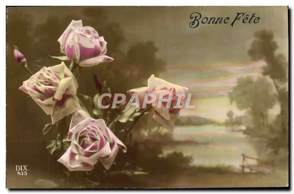 Rosas — Feliz Aniversário — DIX 433 - Frente