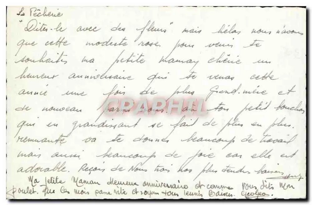 Rose — cartão de aniversário — editor desconhecido, número de série não visível - Verso