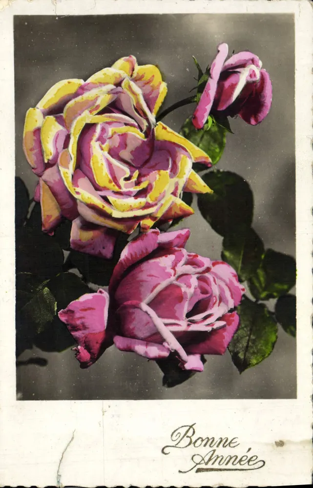 Roses colorées — composition florale — Éditions P. Thauser (80) - Frente