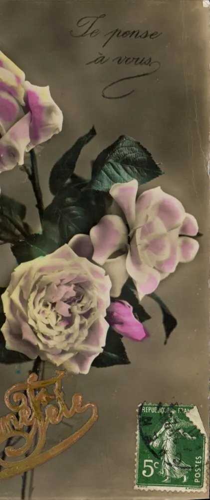 Roses — cartão postal — editor desconhecido - Frente