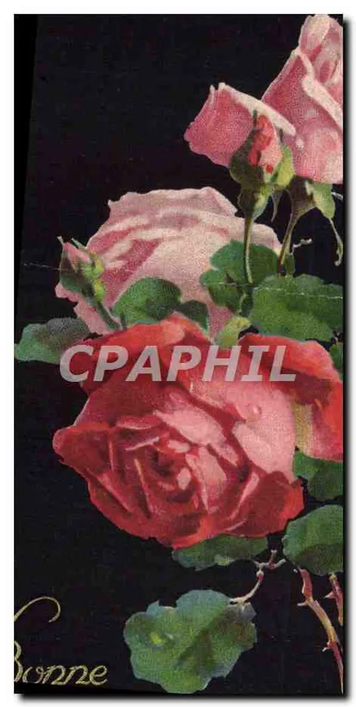 Bonne rose — bouquet de roses rouges et roses sur fond noir — éditeur non visible - Frente