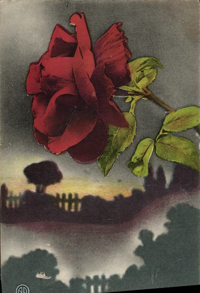 Rode roos — landschap bij zonsondergang — uitgever ND, n° 781C/1900 - Voorkant