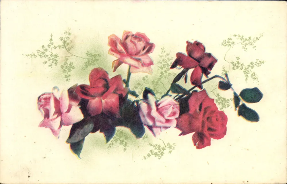 Arranjos de rosas — ilustração colorida - Frente