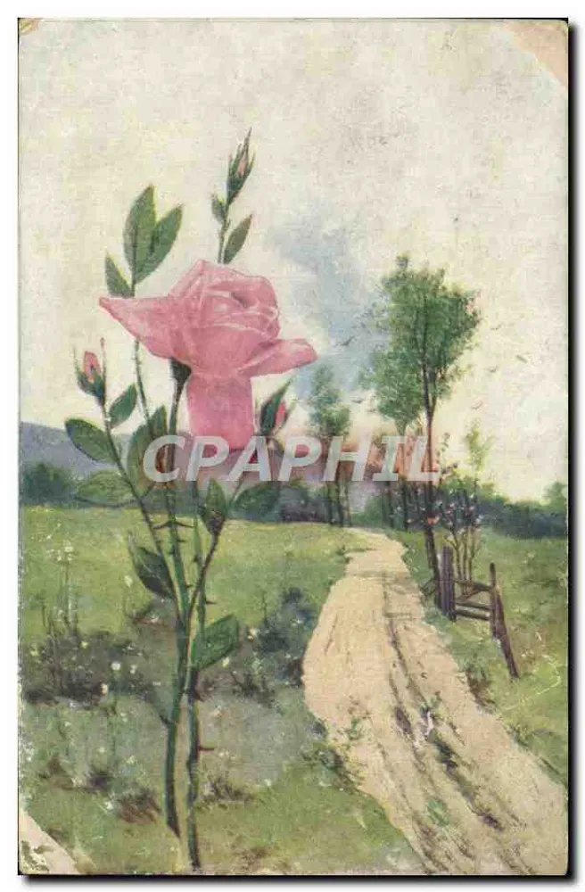 Rose em flor — paisagem rural — editor não identificado - Frente