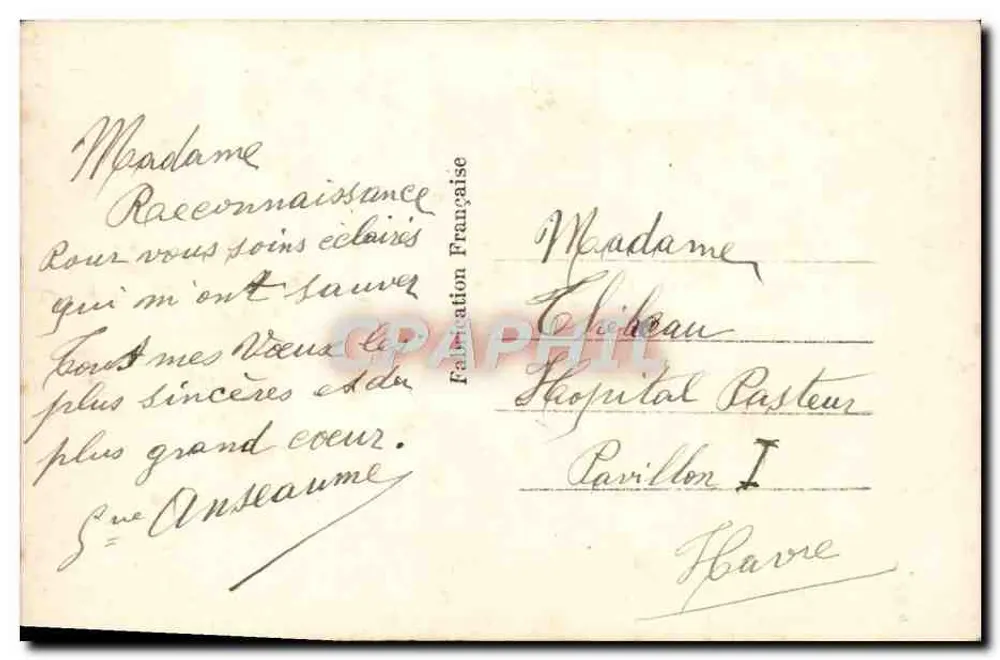 Rosas — variedade 'Rex' — edição francesa - Verso