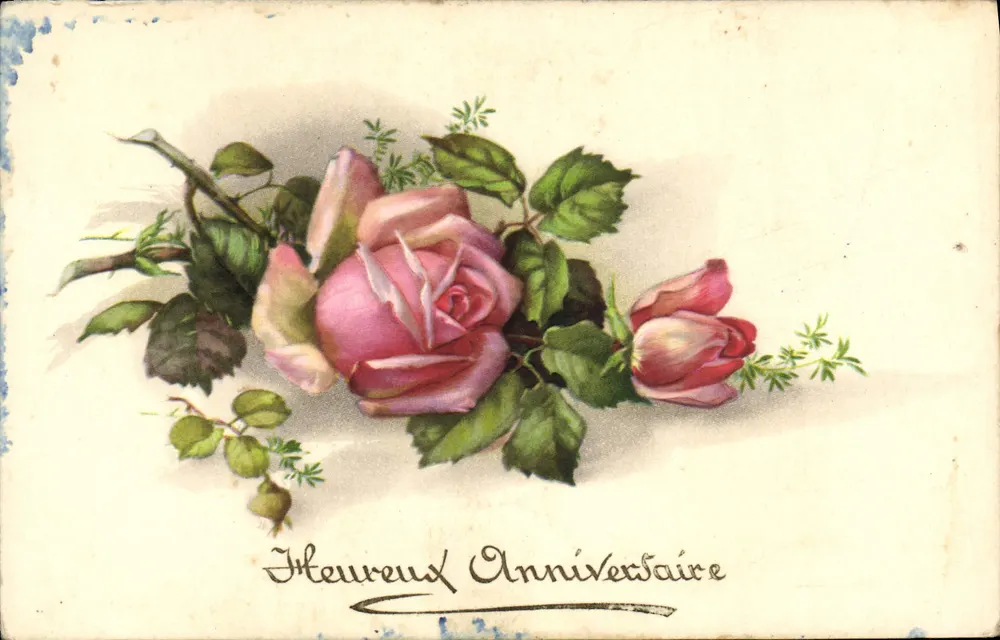 Mata de rosas — Feliz Aniversário — editor não visível - Frente