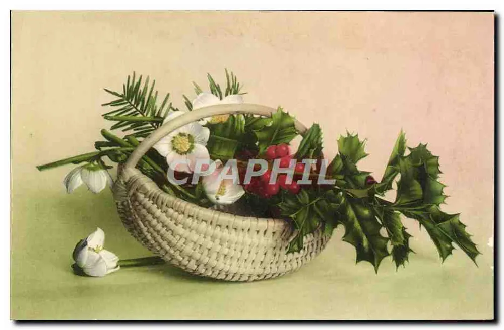 Bouquet van Kerst — ivorenblad, rode vruchten en witte bloemen — uitgever Martin Jornmel & Co., n° 365 - Voorkant