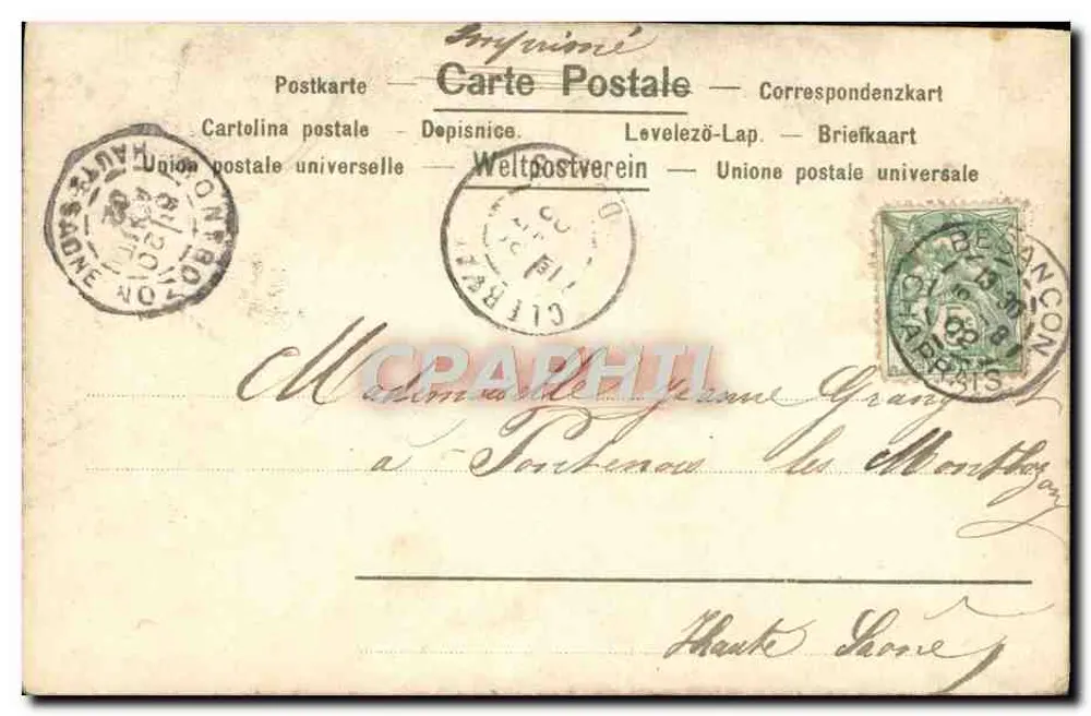 Flores de margaridas — cartão postal — editor não visível - Verso