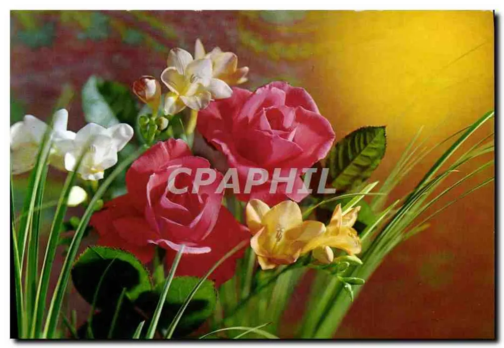 Flores — rosas e freesias — editor Rotalcolor, n° R 493 - Frente