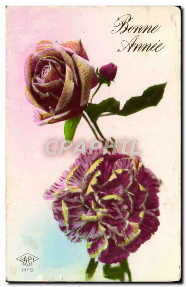 Deux fleurs — rose et carnation — éditeur SAPI PARIS n° 1449 - Frente